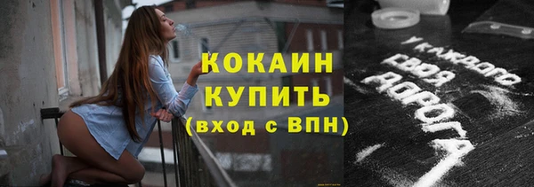прущие грибы Пестово