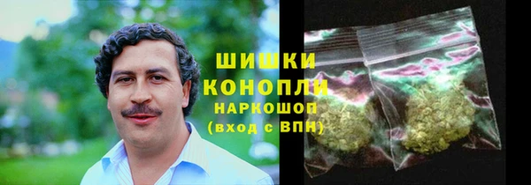 прущие грибы Пестово